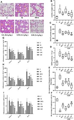 Integrated Pharmacology Reveals the Molecular Mechanism of Gegen Qinlian Decoction Against Lipopolysaccharide-induced Acute Lung Injury